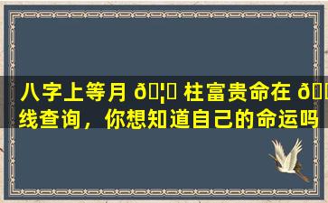 八字上等月 🦄 柱富贵命在 🐳 线查询，你想知道自己的命运吗